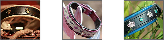 Elbpferdchen - Hundehalsbänder